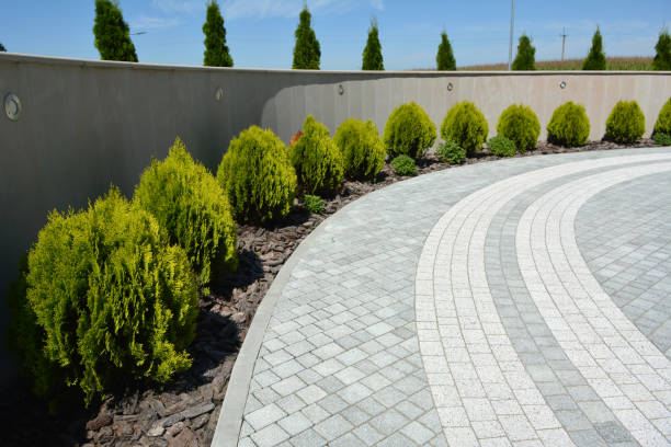 Best Residential Paver Driveway  in Mankato, MN